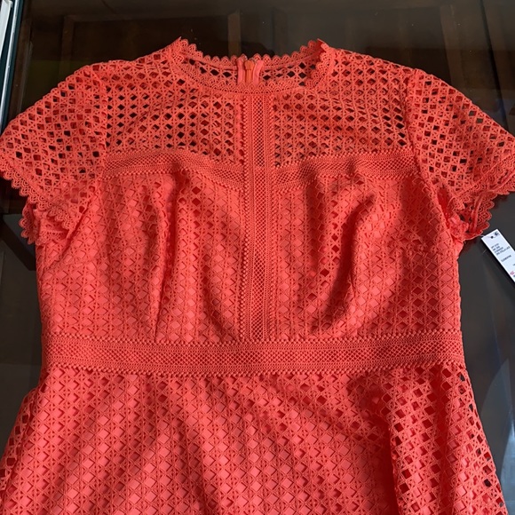 FIRM..Antonio Melani Stella Lace Scallop A Line Dress. - Picture 8 of 13